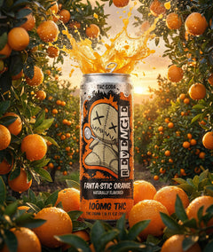 Revenge THC Soda - Fantastic Orange - 100MG-3