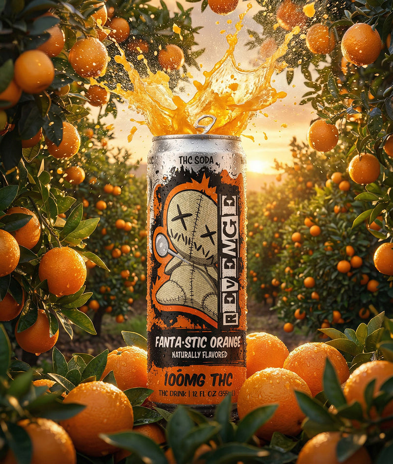 Revenge THC Soda - Fantastic Orange - 100MG-3